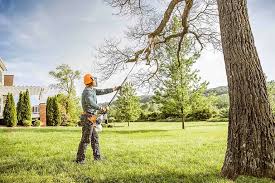 Best Tree Risk Assessment  in Selmer, TN